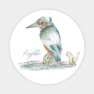 Kingfisher Magnet